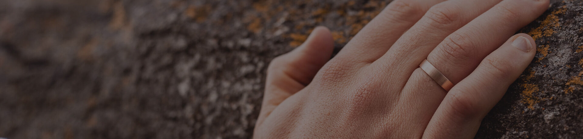 slider-03